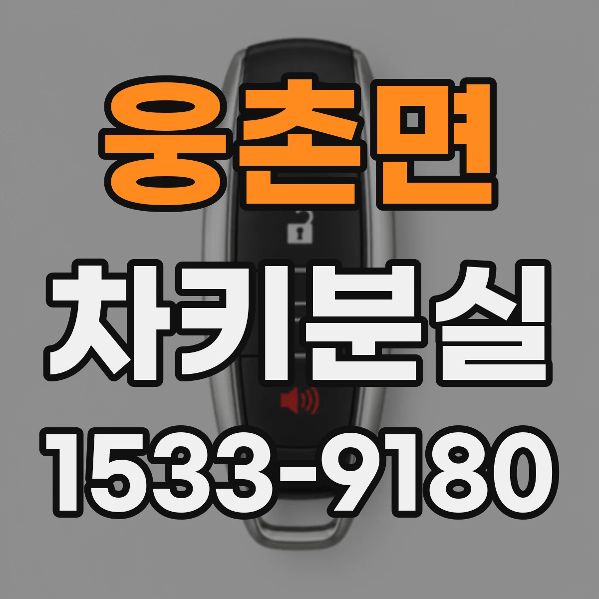 웅촌면 차키분실