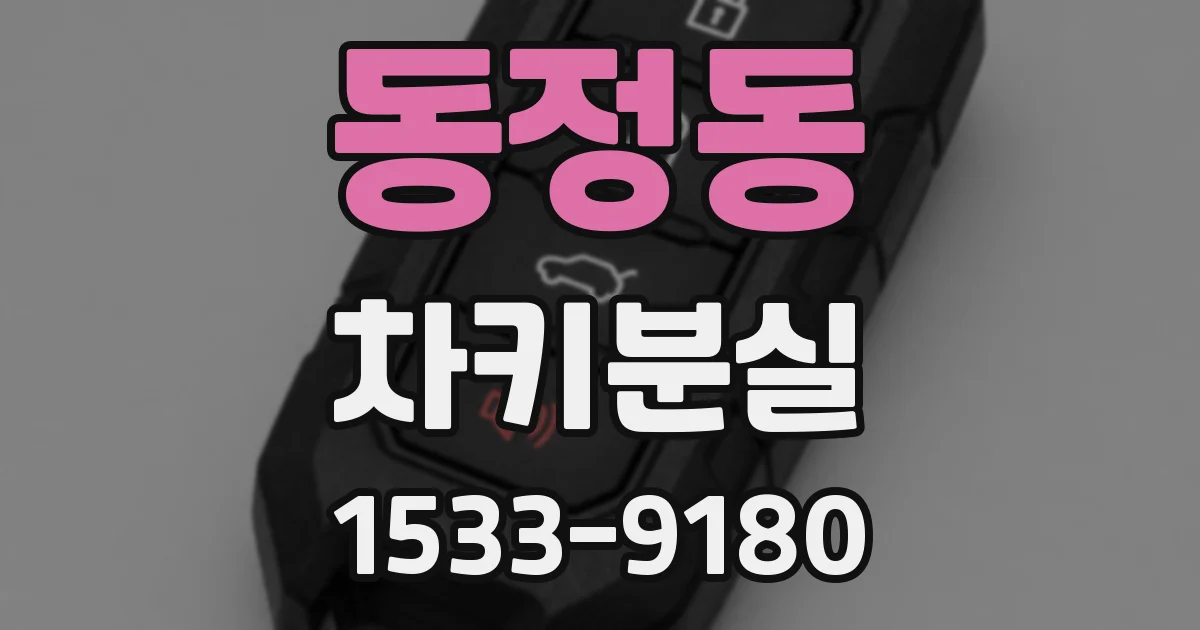 동정동 차키분실
