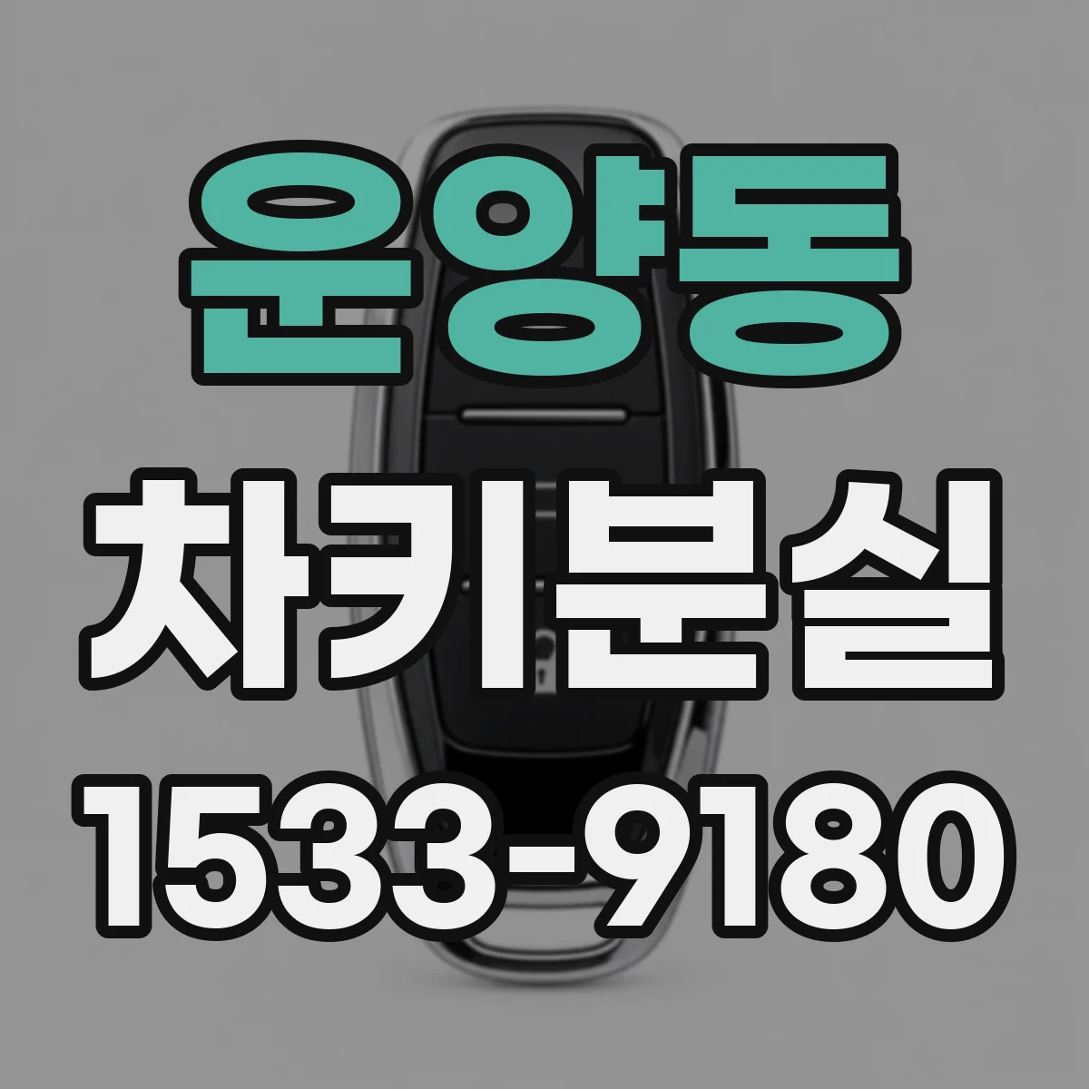 운양동 차키분실
