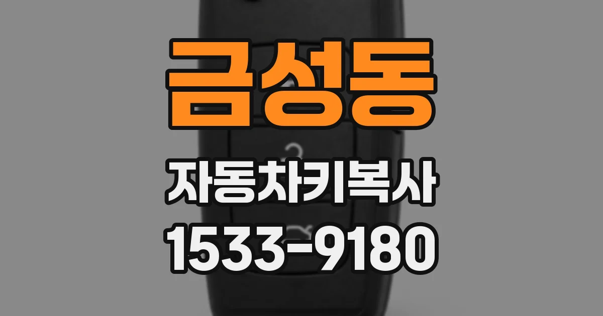 금성동 자동차키복사