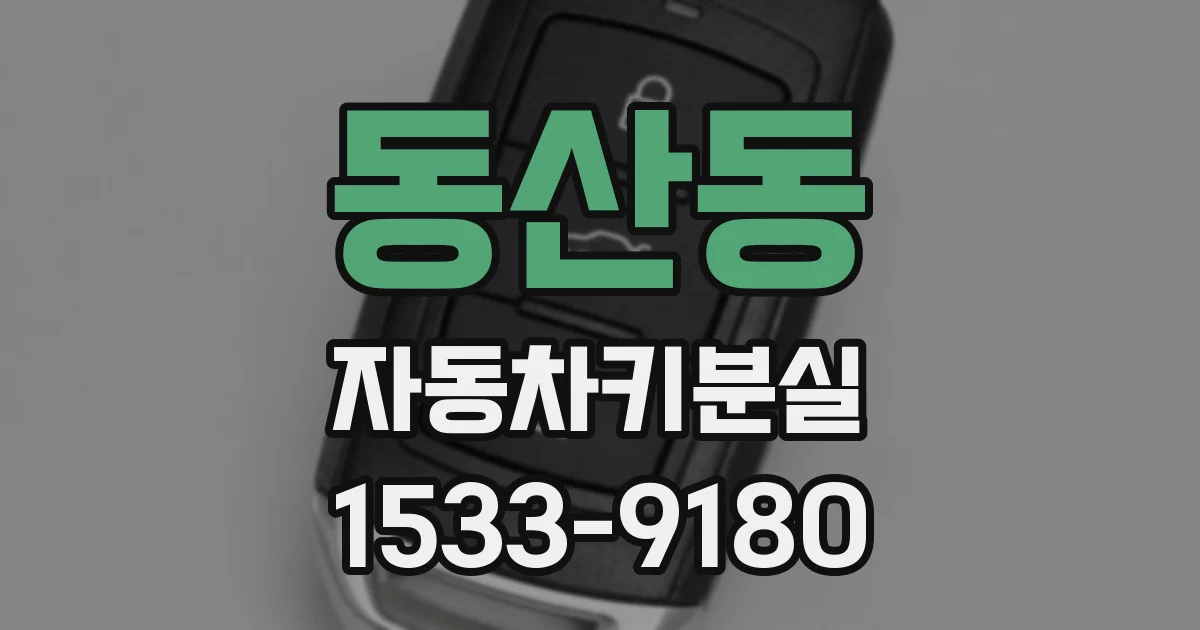 동산동 자동차키분실