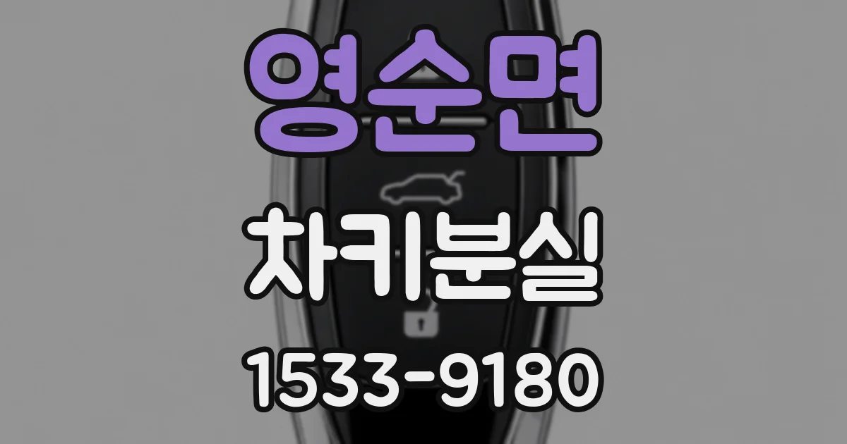 영순면 차키분실