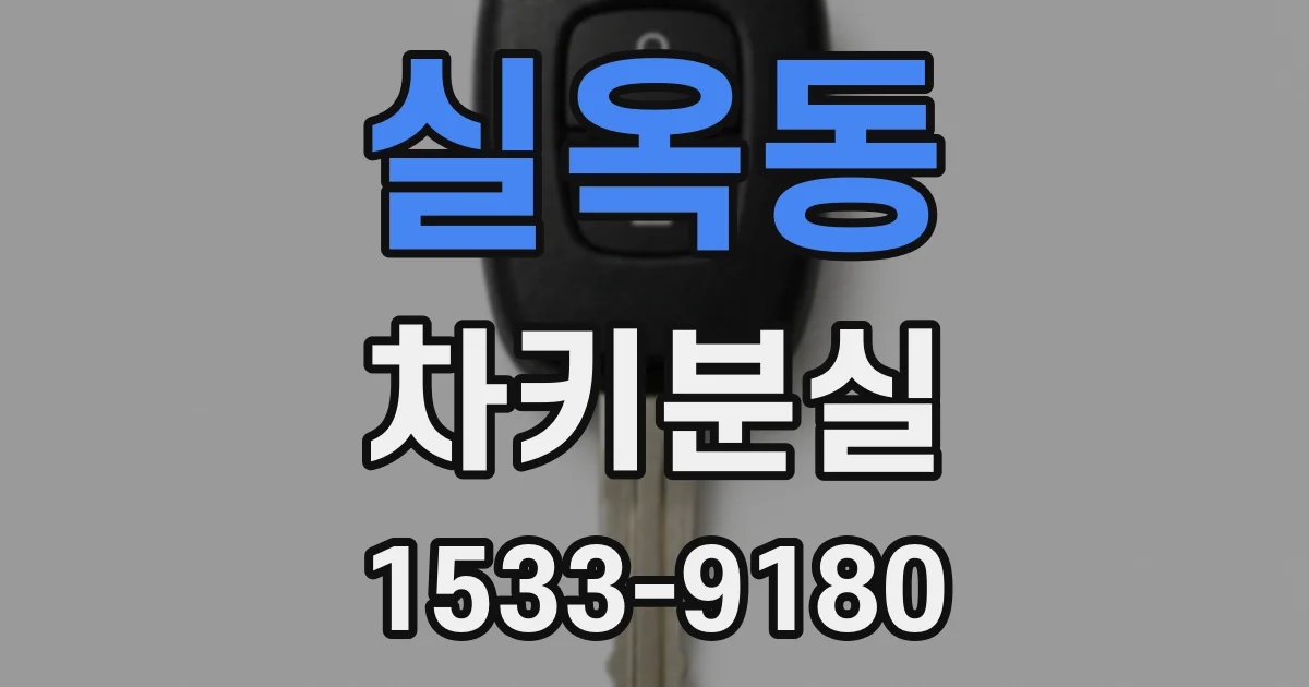 실옥동 차키분실