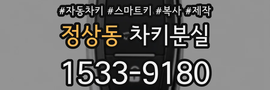 정상동 차키분실