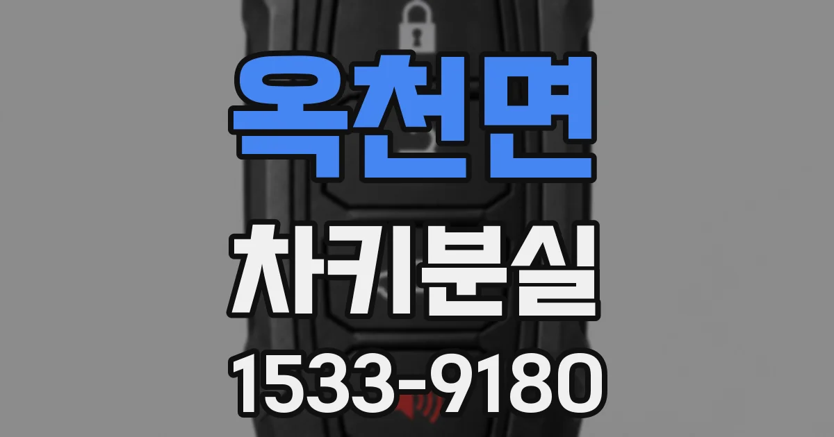 옥천면 차키분실