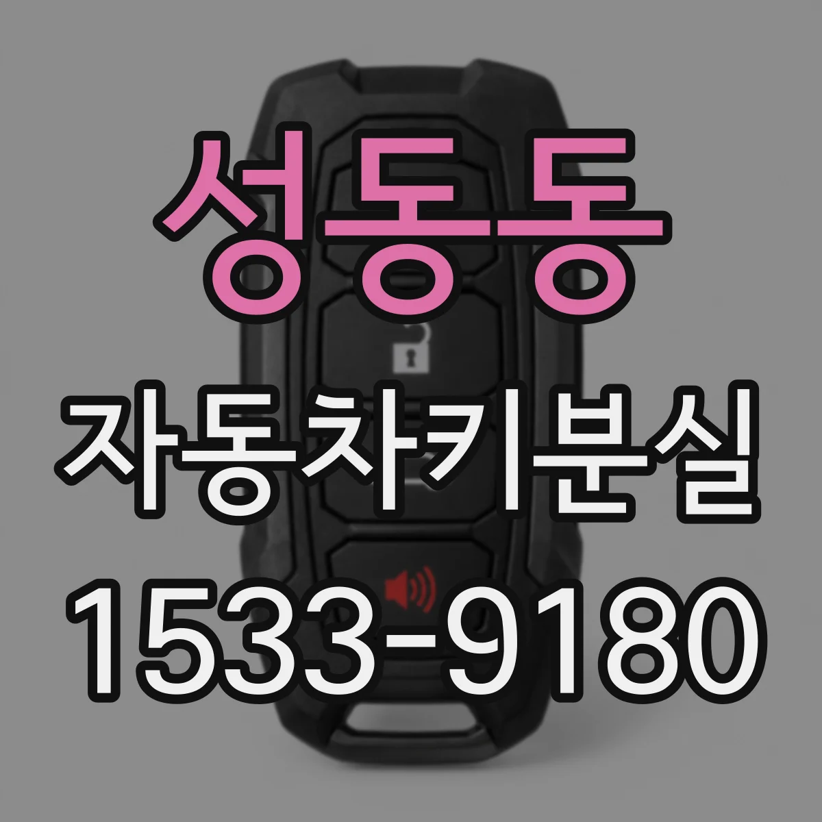성동동 자동차키분실