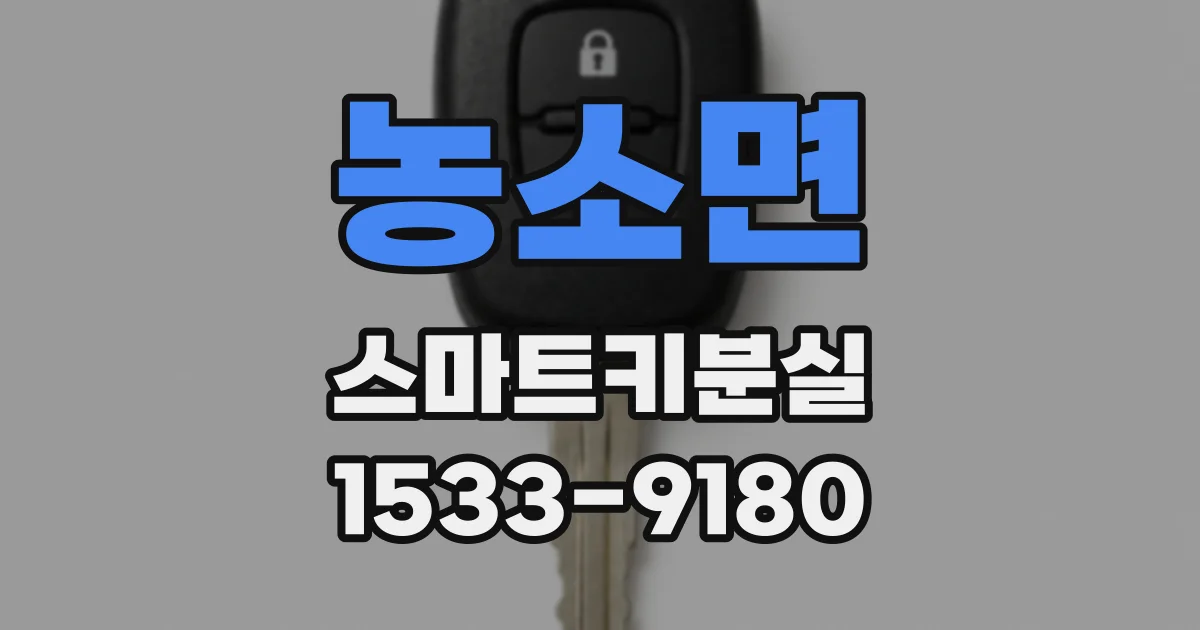 농소면 스마트키분실