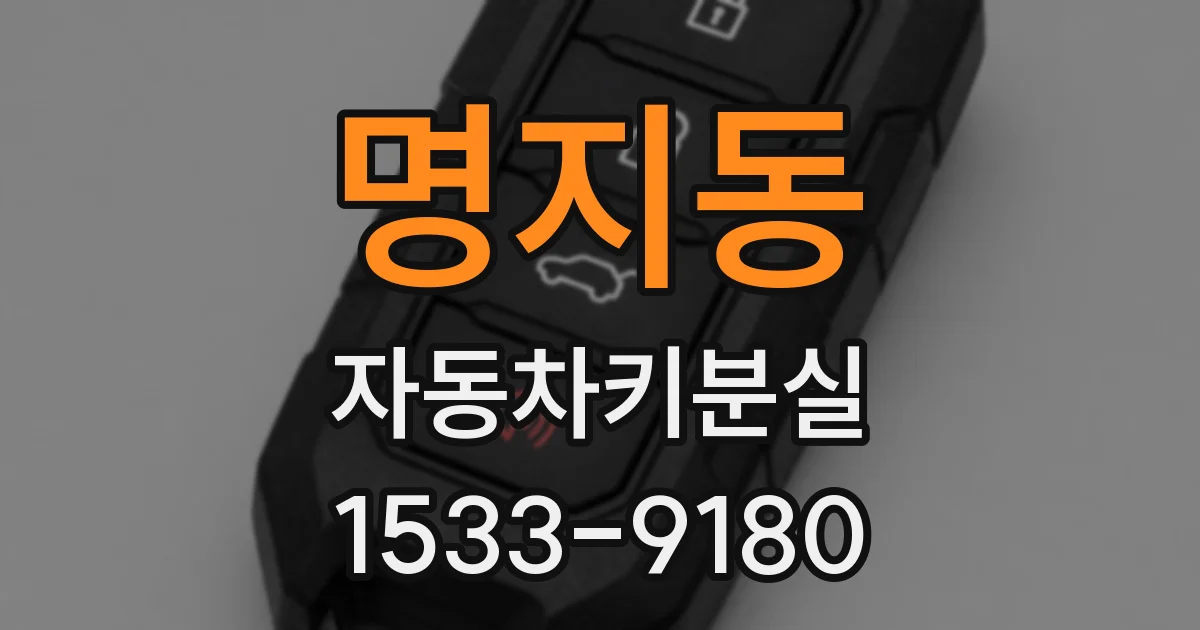 명지동 자동차키분실