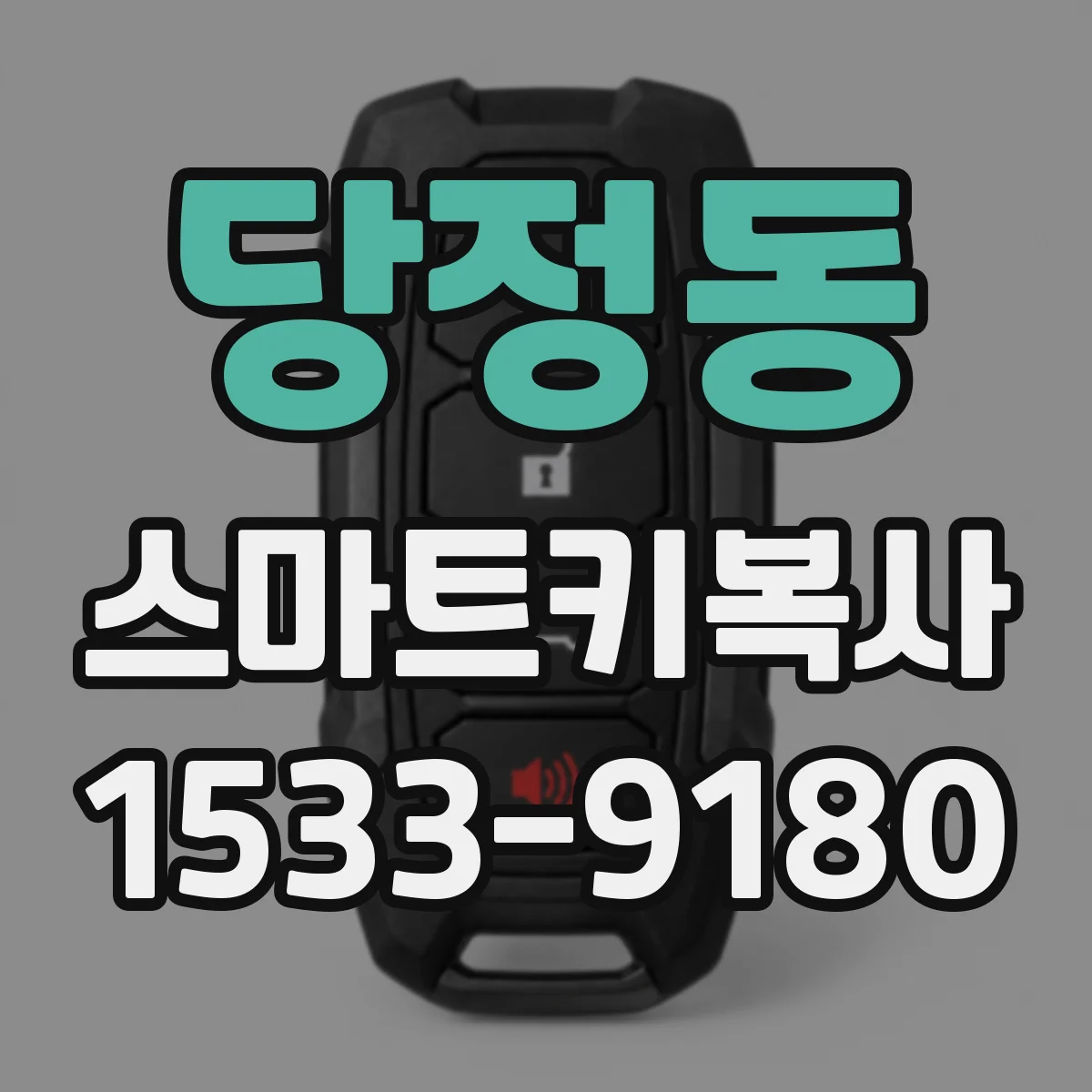 당정동 스마트키복사