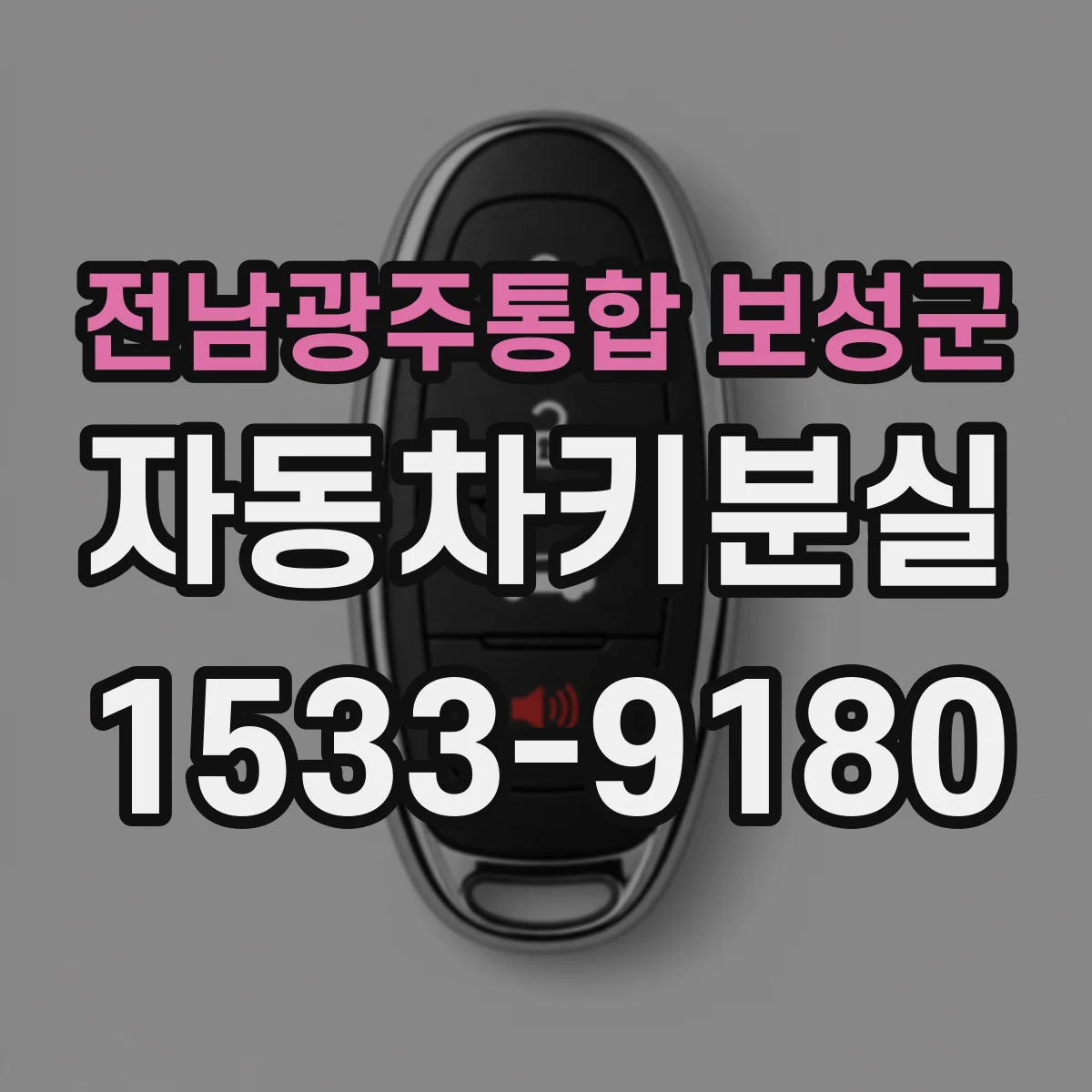 전남광주통합 보성군 자동차키분실