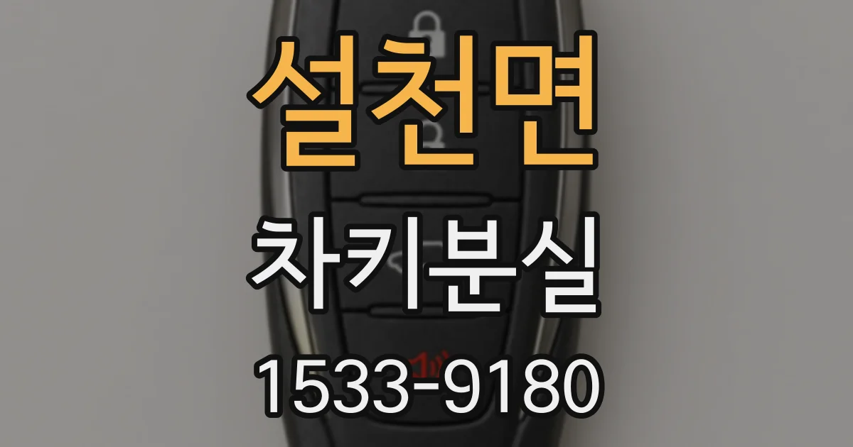 설천면 차키분실