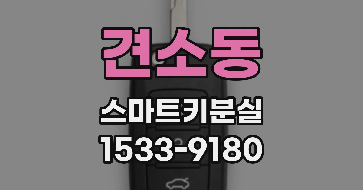 견소동 스마트키분실