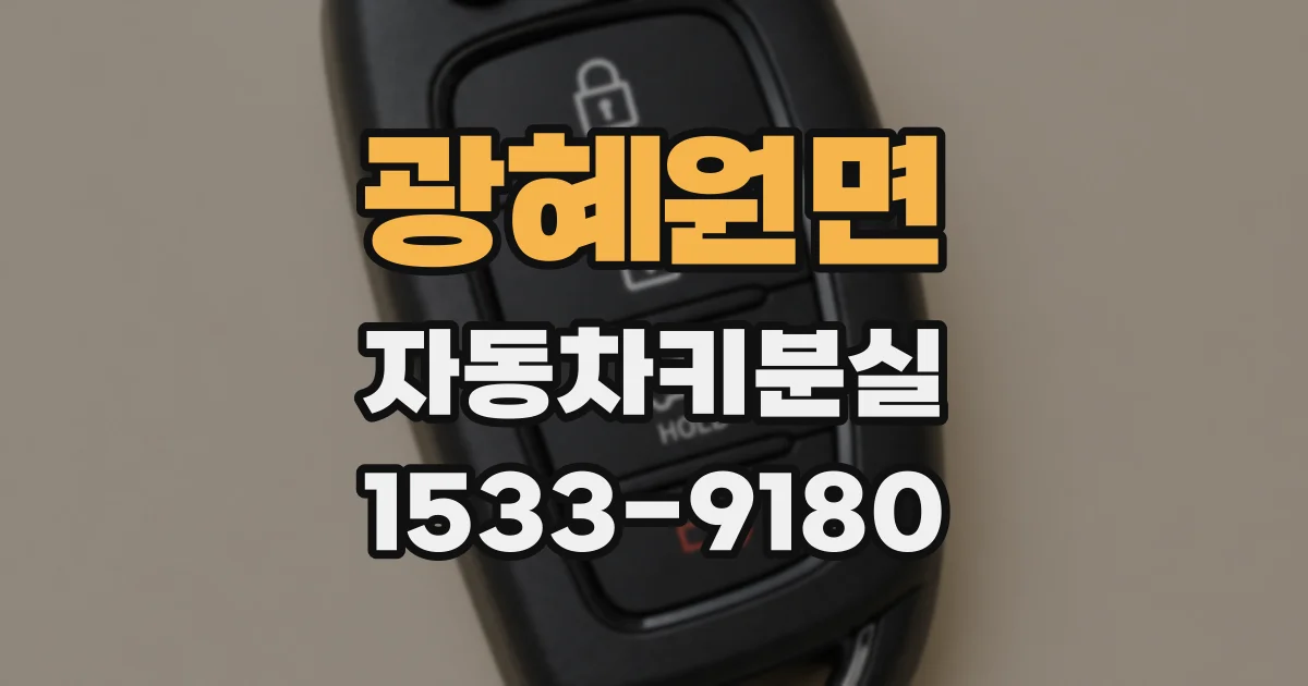 광혜원면 자동차키분실