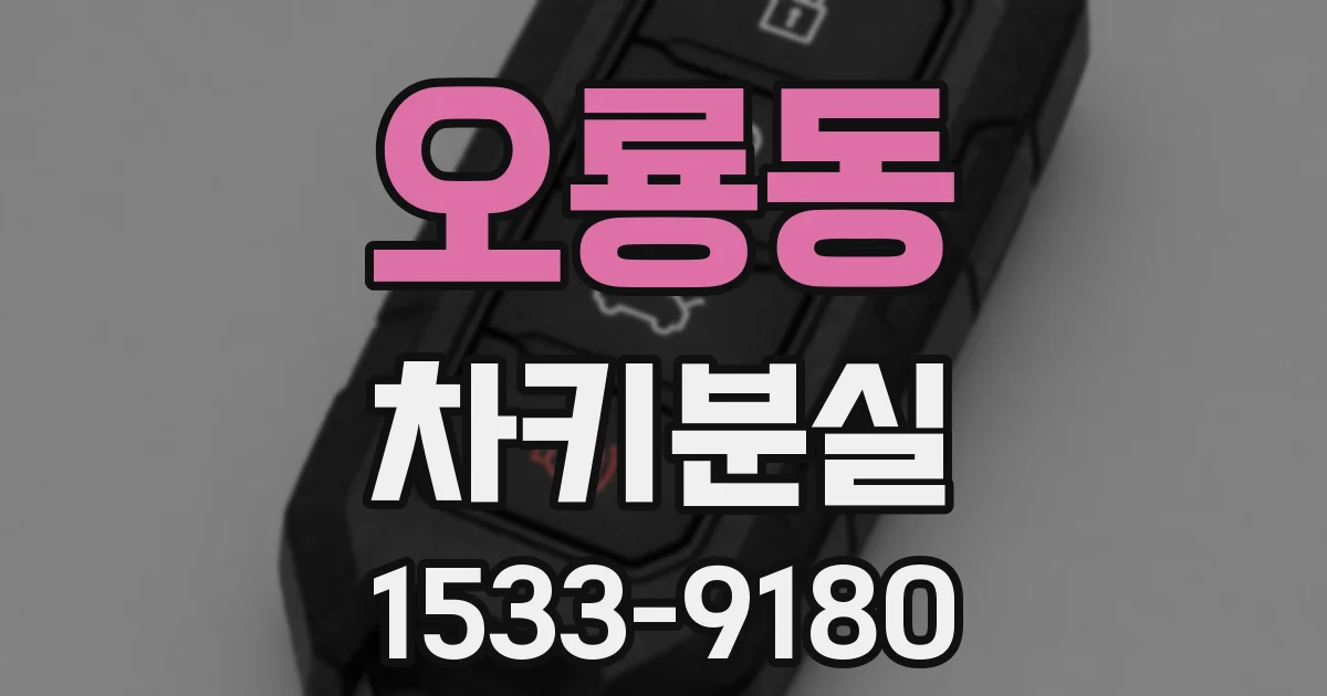 오룡동 차키분실