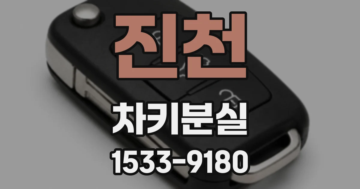 진천 차키분실
