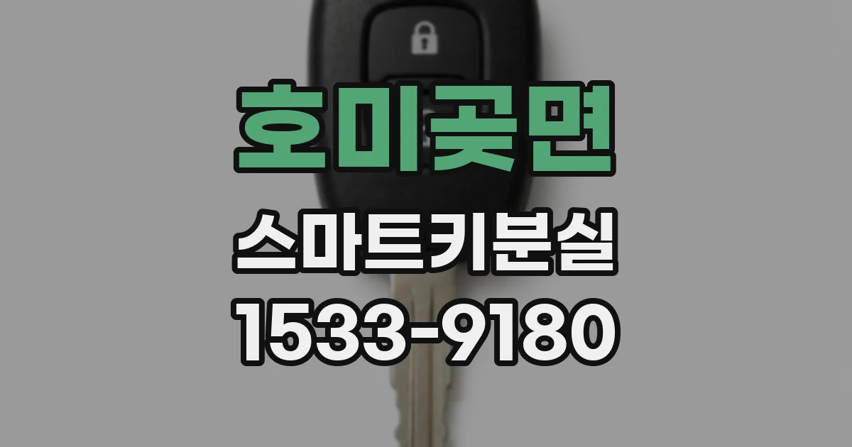 호미곶면 스마트키분실