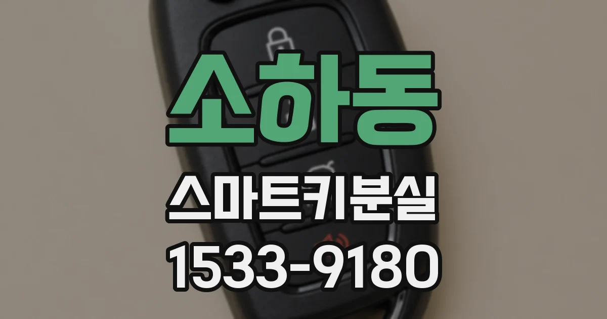 소하동 스마트키분실