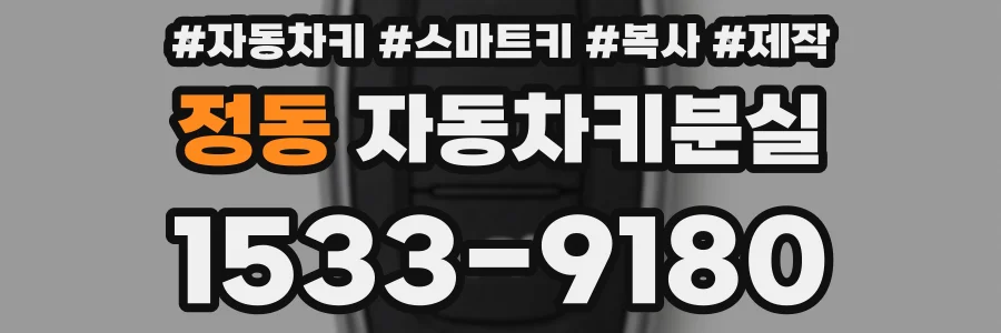 정동 자동차키분실