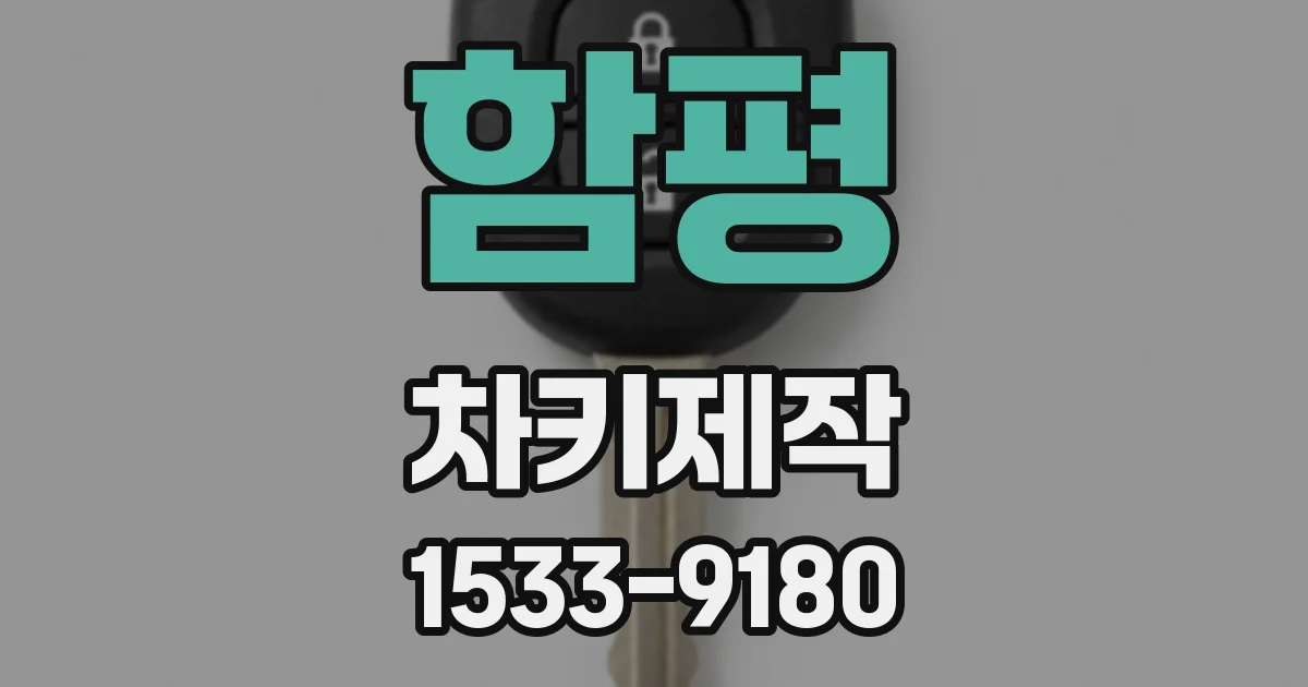함평 차키제작