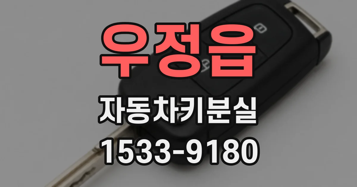 우정읍 자동차키분실