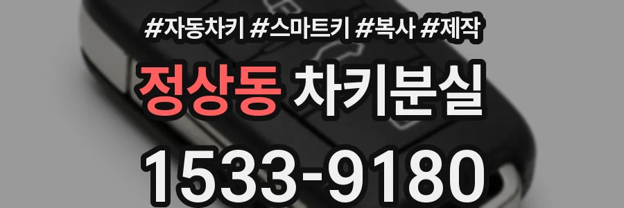 정상동 차키분실