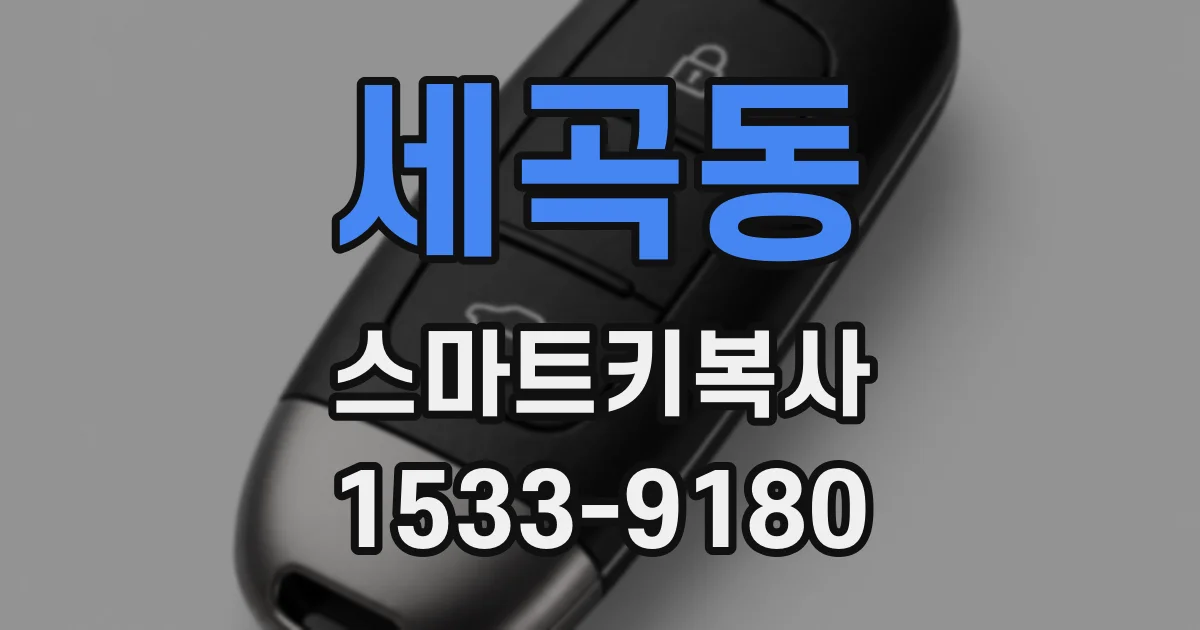 세곡동 스마트키복사