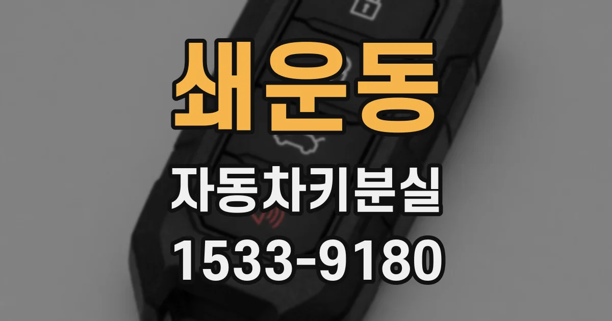 쇄운동 자동차키분실