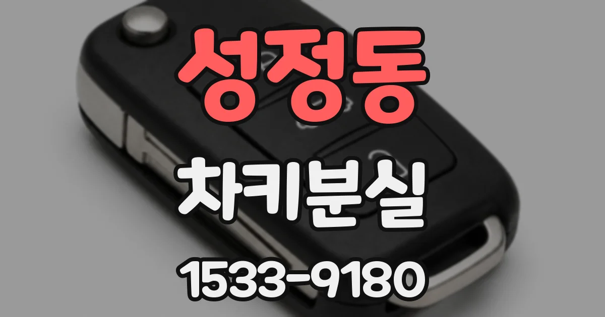 성정동 차키분실