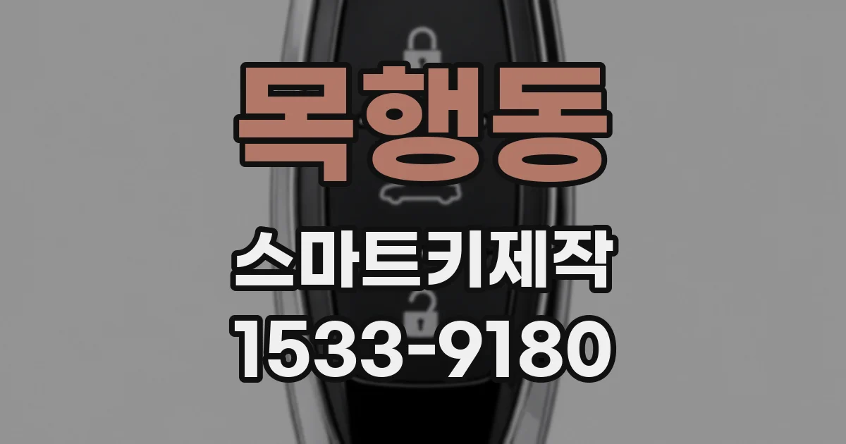 목행동 스마트키제작