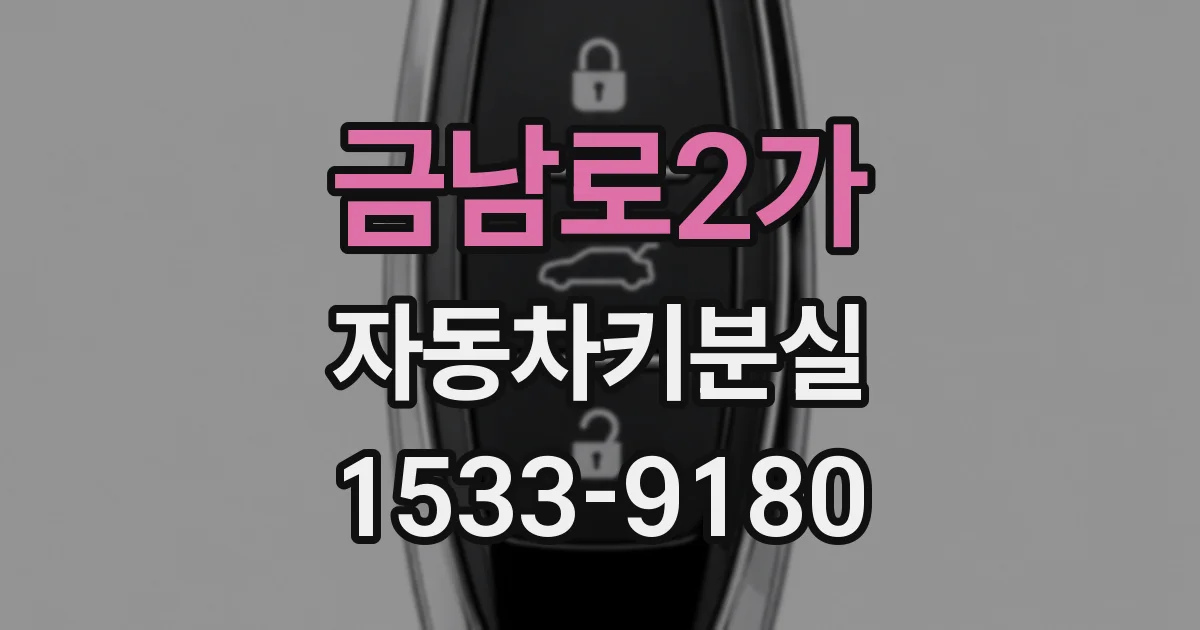 금남로2가 자동차키분실