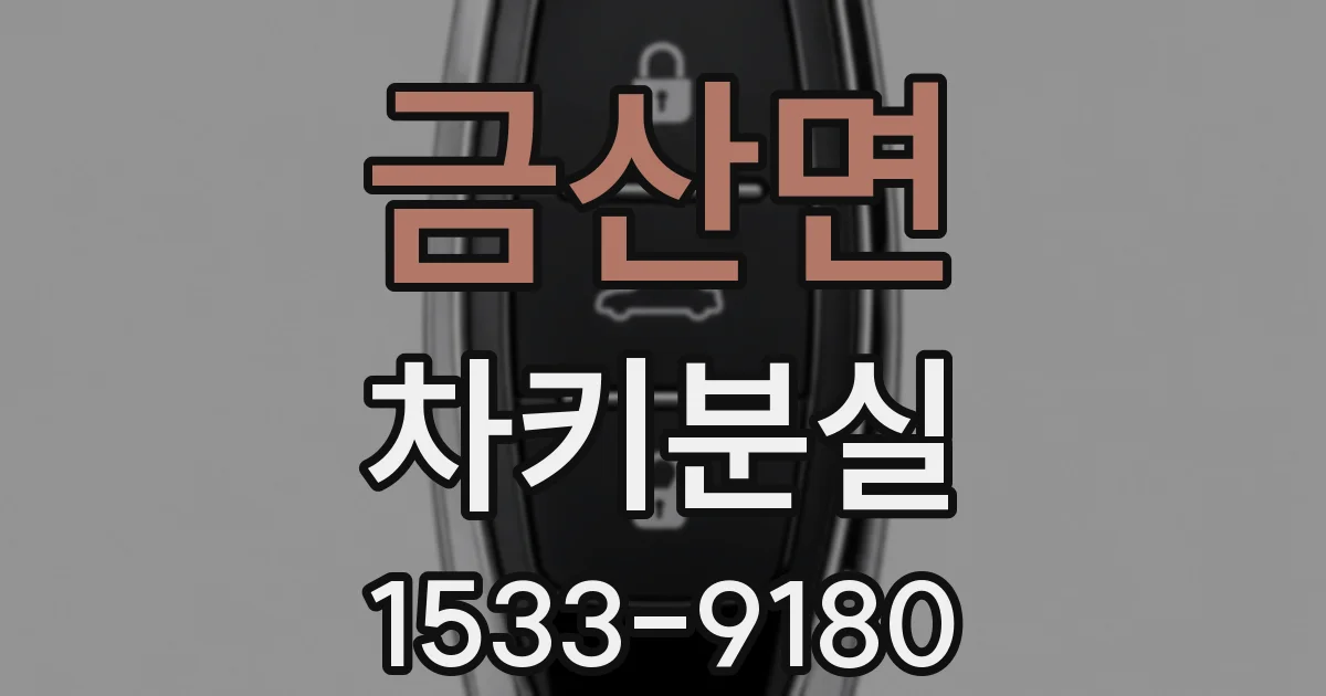 금산면 차키분실
