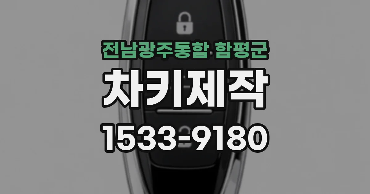 전남광주통합 함평군 차키제작