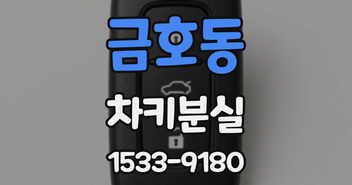 금호동 차키분실