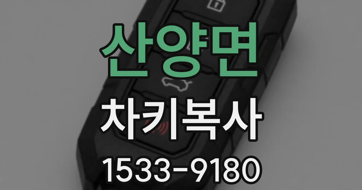 산양면 차키복사