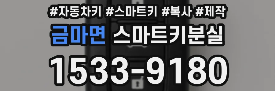 금마면 스마트키분실