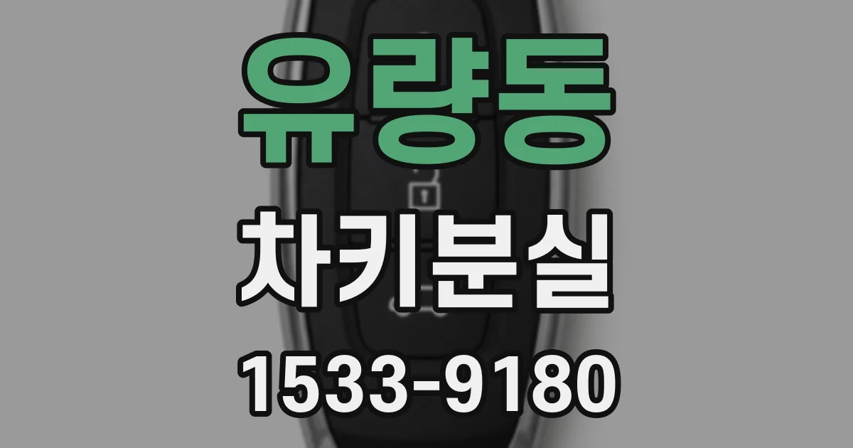 유량동 차키분실