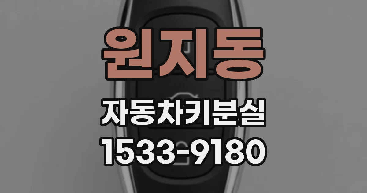 원지동 자동차키분실