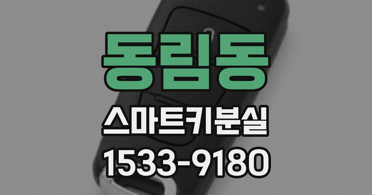 동림동 스마트키분실