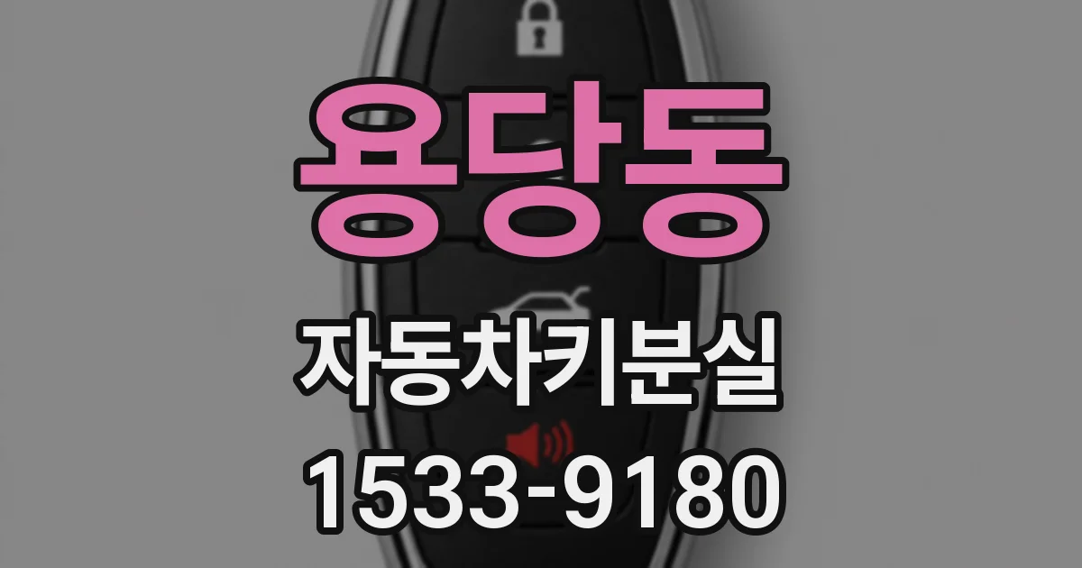 용당동 자동차키분실