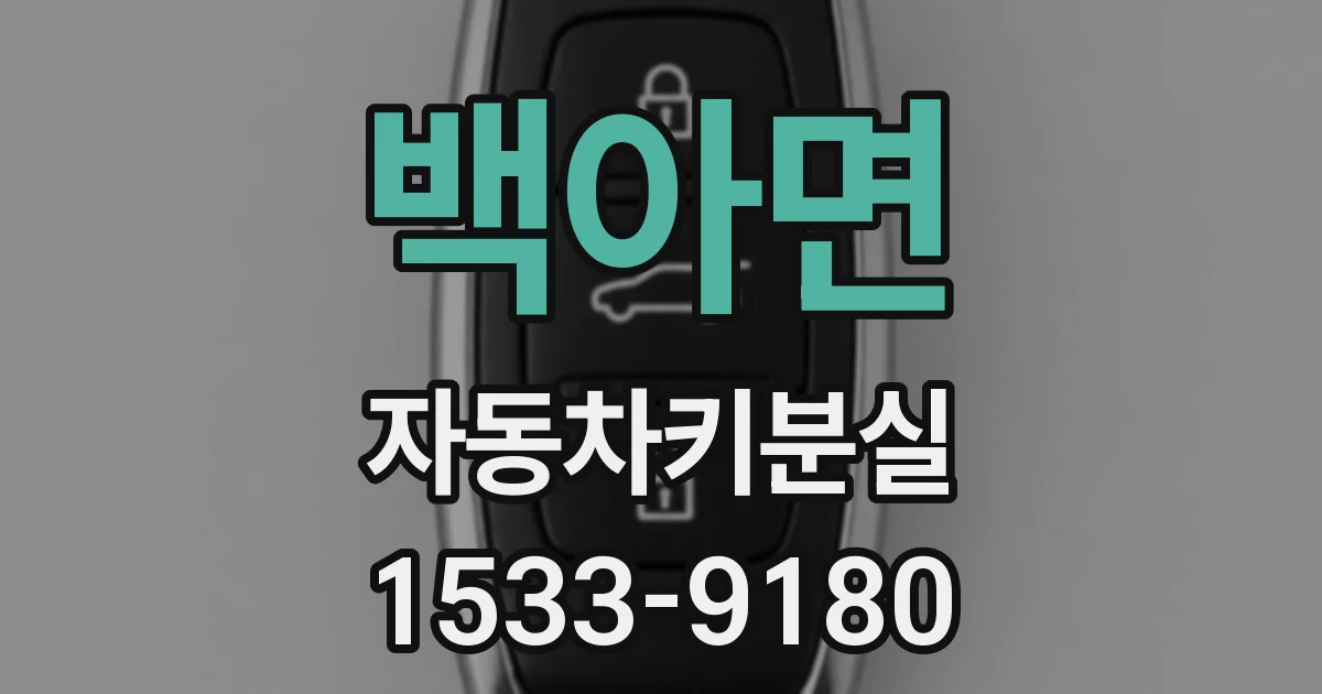 백아면 자동차키분실