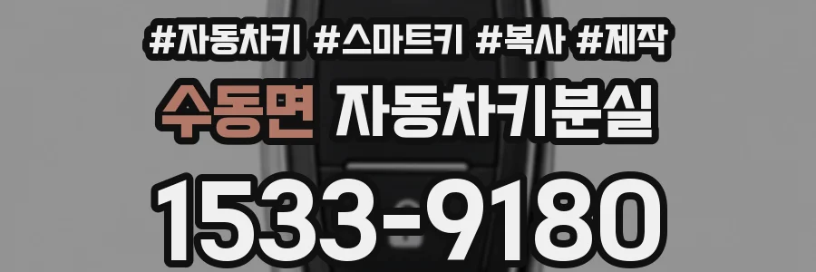 수동면 자동차키분실