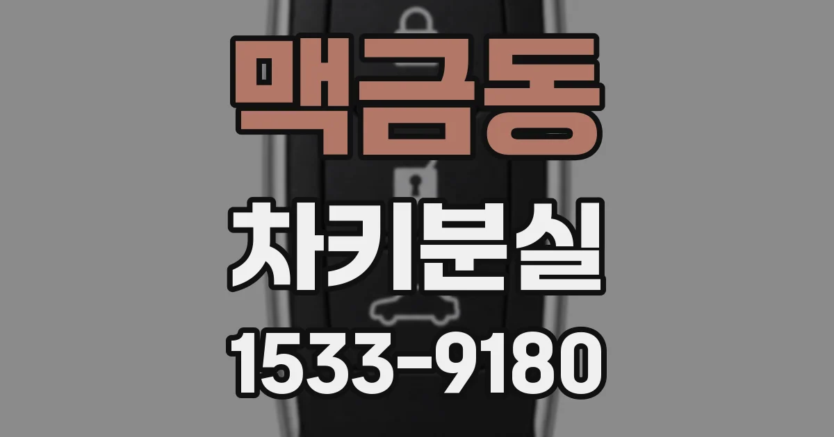 맥금동 차키분실