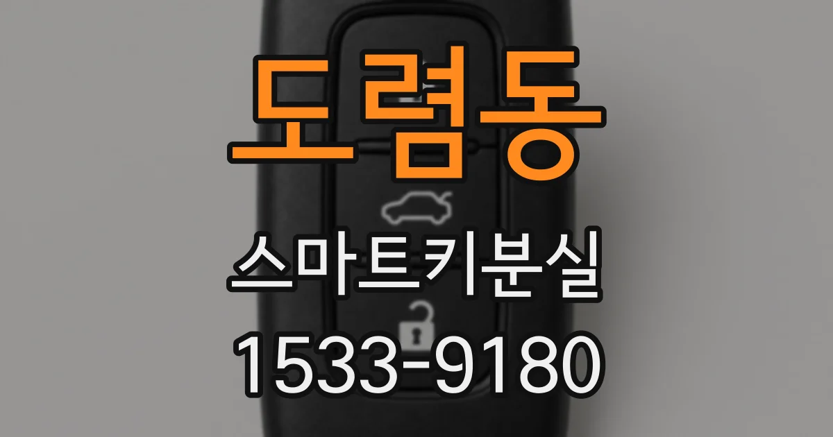 도렴동 스마트키분실
