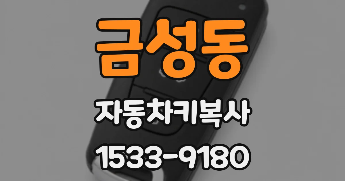 금성동 자동차키복사