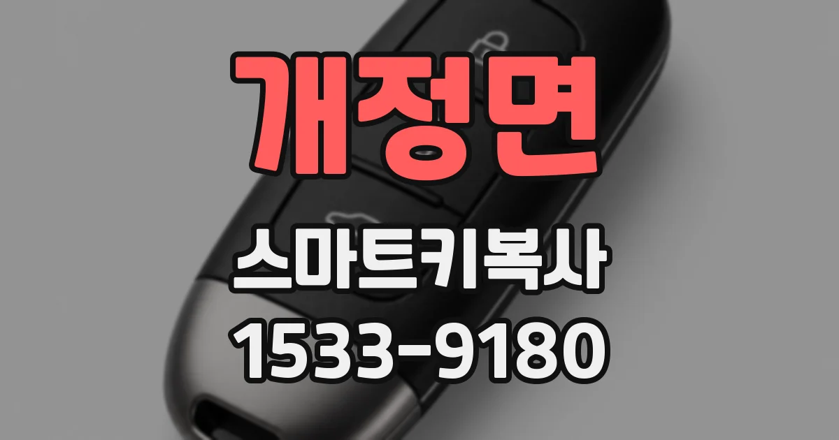 개정면 스마트키복사