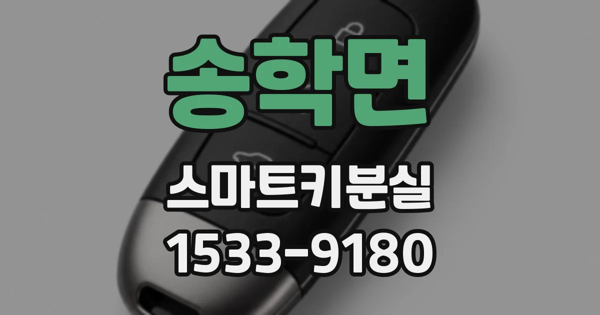 송학면 스마트키분실