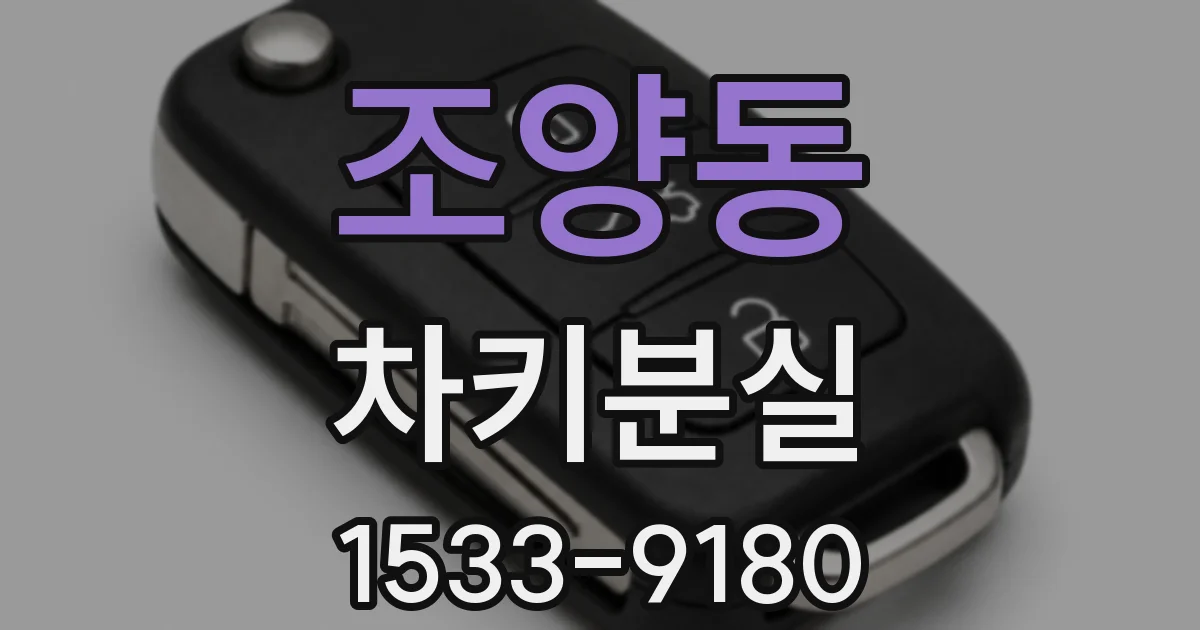 조양동 차키분실