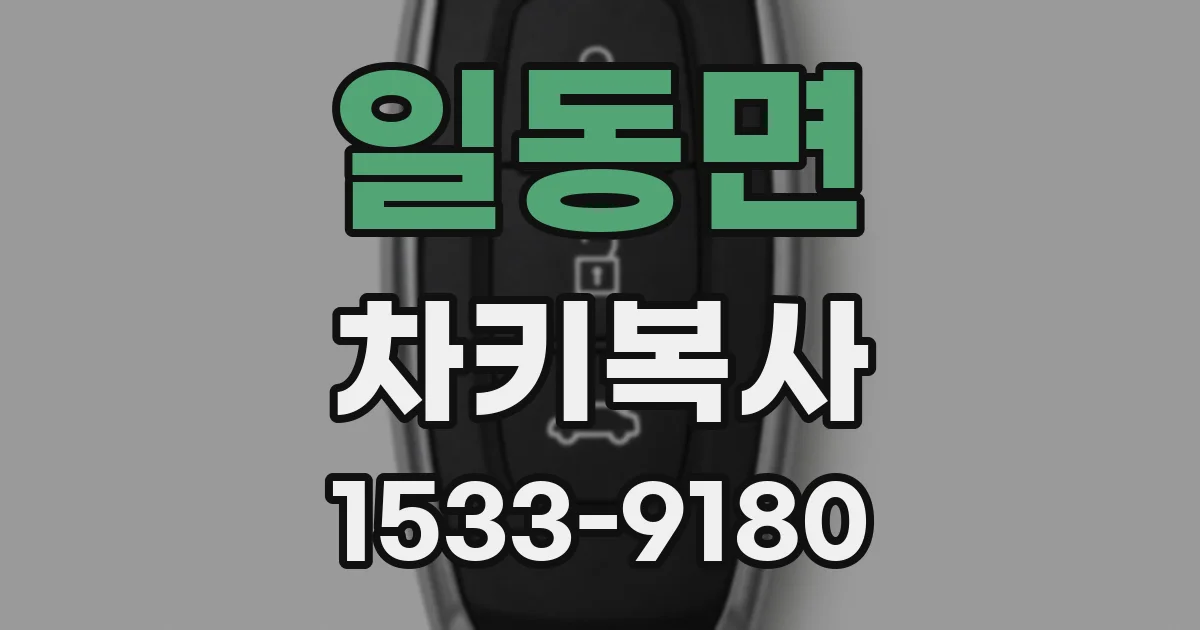 일동면 차키복사