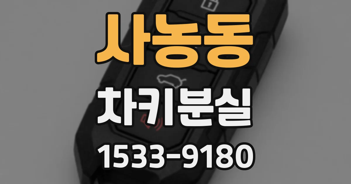 사농동 차키분실