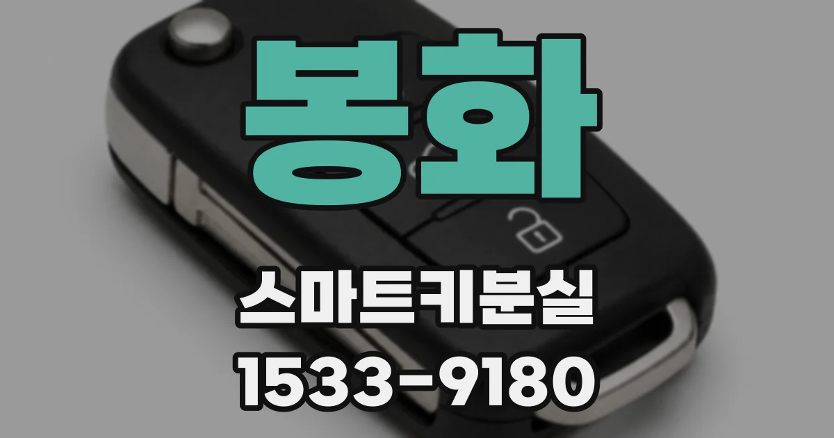 봉화 스마트키분실